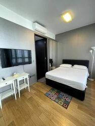 Skysuites@Anson (D2), Apartment #461042881